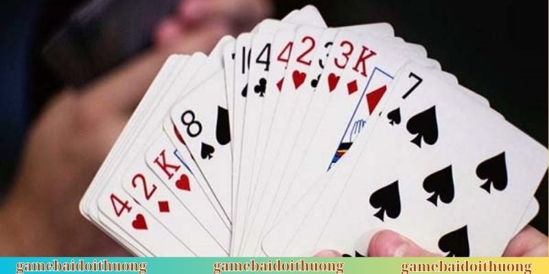 Quy luật chặt hàng nâng cao trải nghiệm hấp dẫn